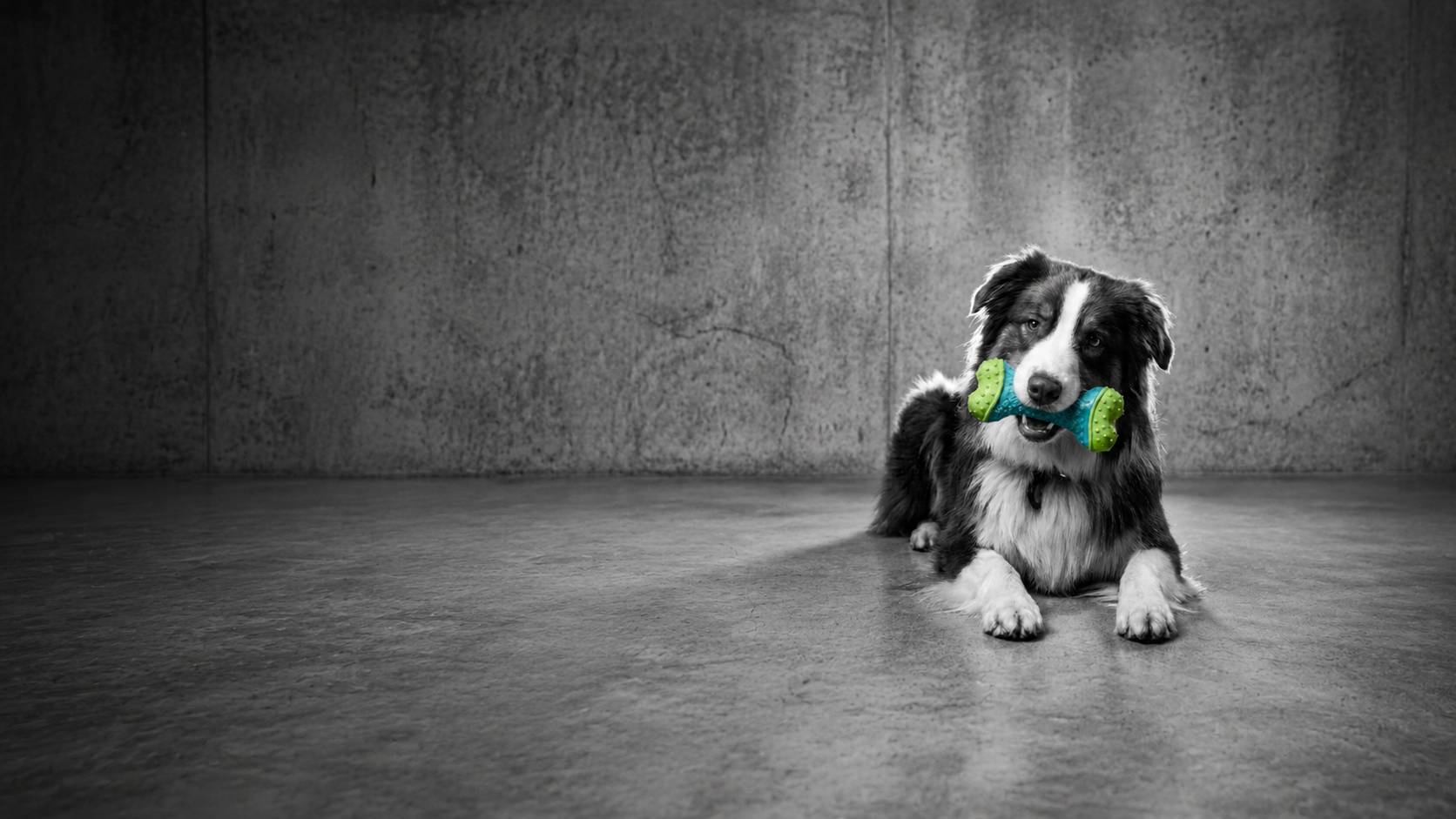 Hoku, the HokuFetch release security reviewer
